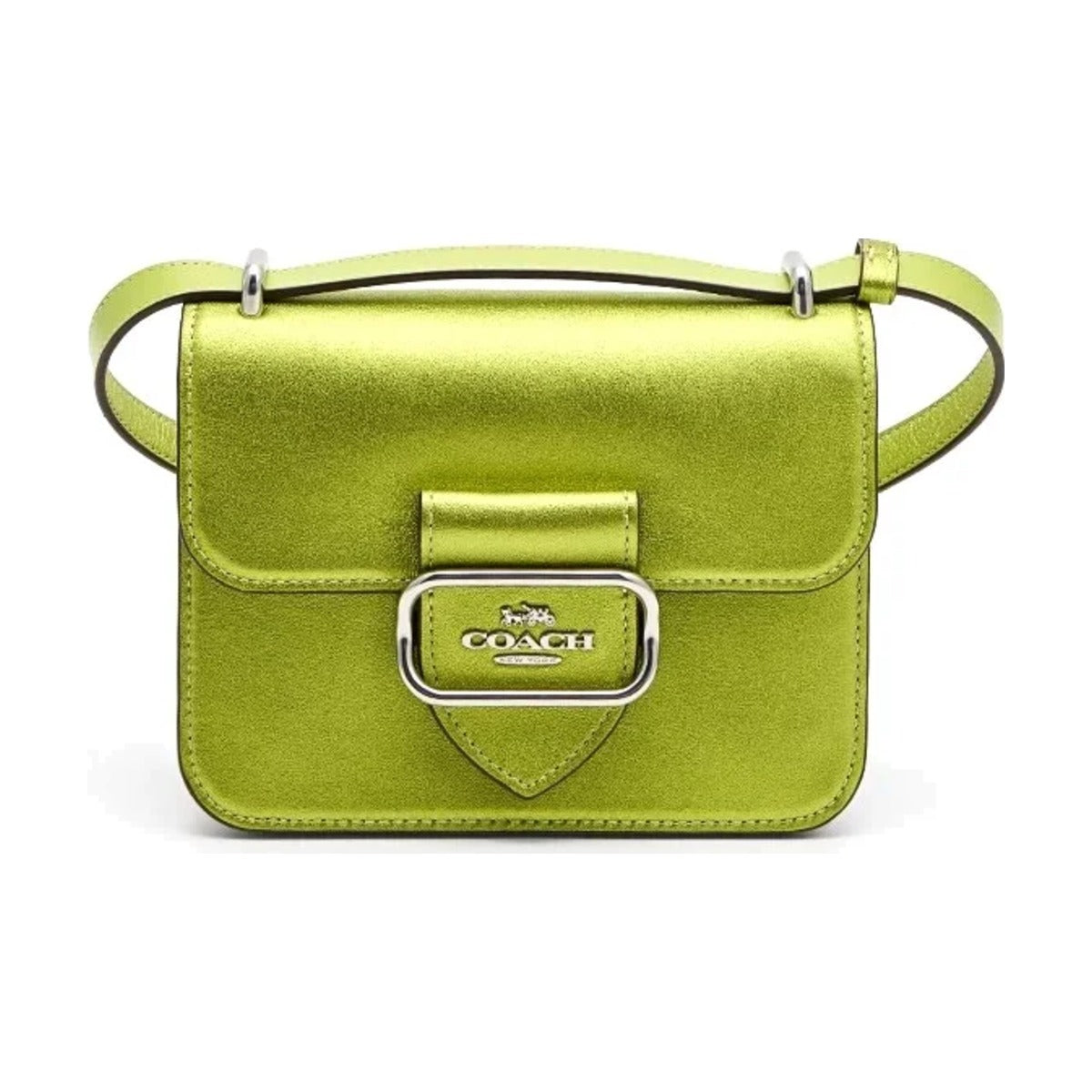 Coach Metallic Flap Shoulder Bag — Light Green